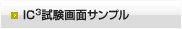 IC3 参考問題