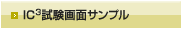 IC3 参考問題